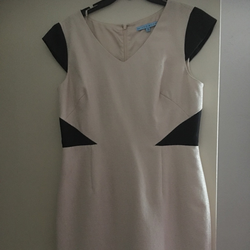 Antonio Melani Creme/Black Dress Size 12